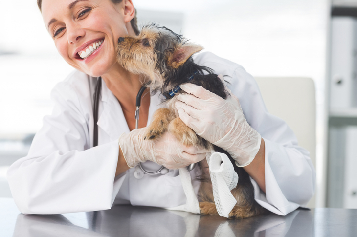 Content Marketing - World Veterinary Day - Scatter