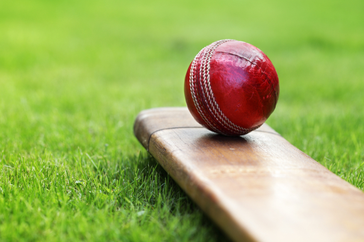Cricket Content Marketing Influencer Marketing - Scatter