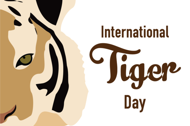 International Tiger Day Content Marketing, Influencer Marketing - Scatter