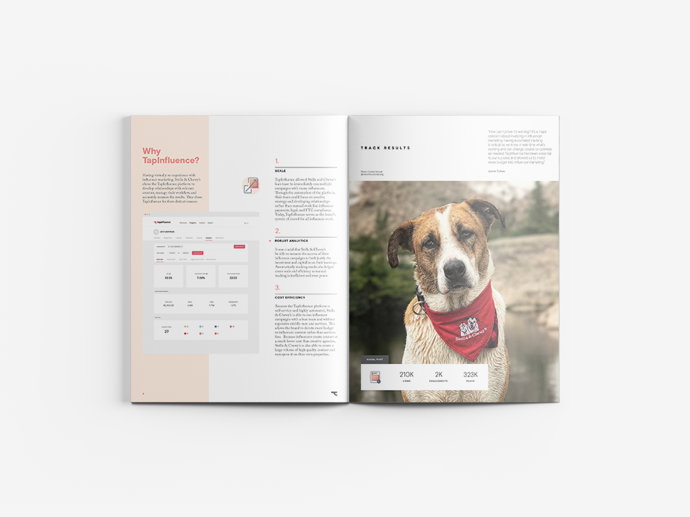 Stella & Chewy's achieved content marketing success through content seeding