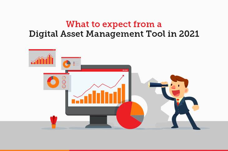 Digital asset management